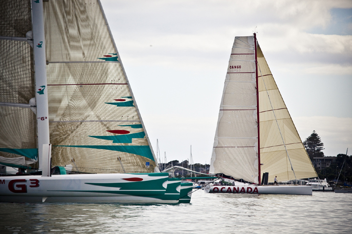 Open 60 Auckland to Tauranga Race