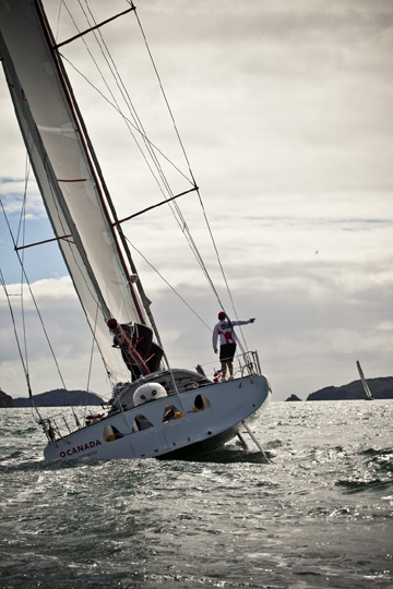 Open 60 Auckland to Tauranga Race